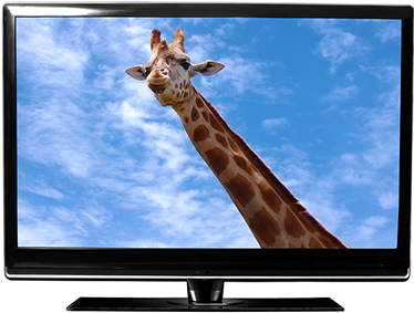Sự khác biệt giữa TV LED và TV LCD